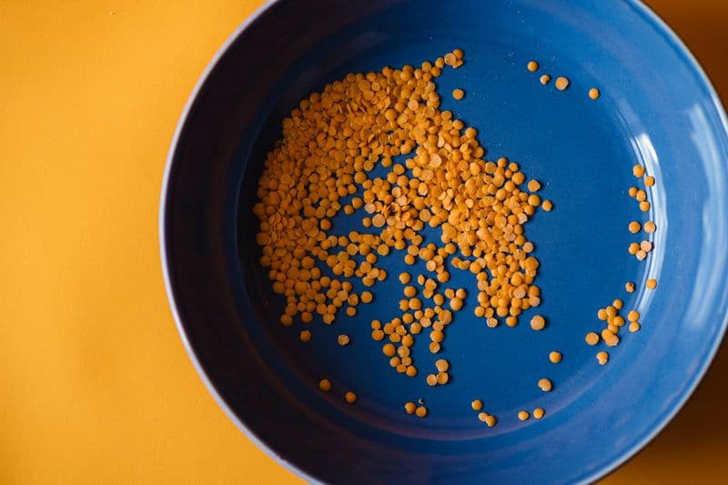 Pulses / Daal